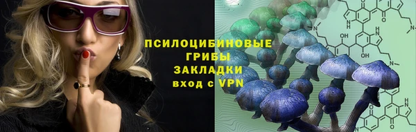спиды Арсеньев