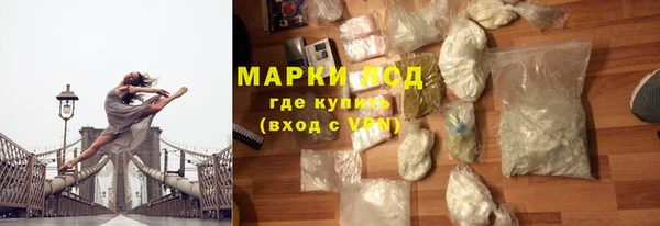 ГАЛЛЮЦИНОГЕННЫЕ ГРИБЫ Аркадак