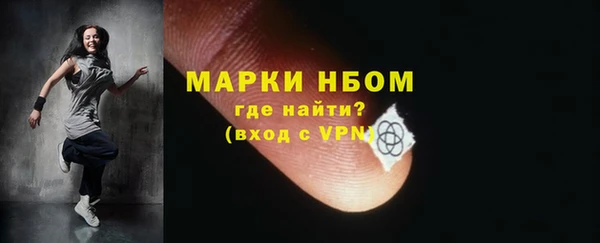 крисы Новозыбков