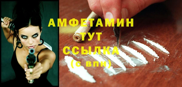 прущие грибы Армянск
