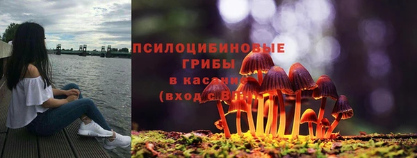 спиды Арсеньев