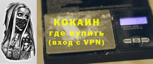 прущие грибы Армянск