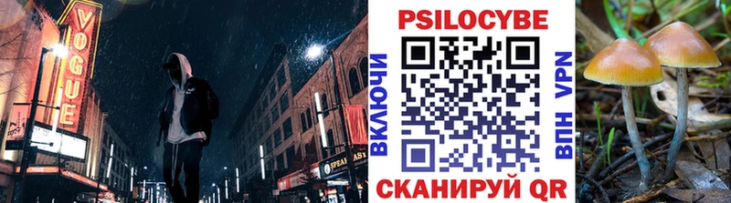 Псилоцибиновые грибы Magic Shrooms  Руза 